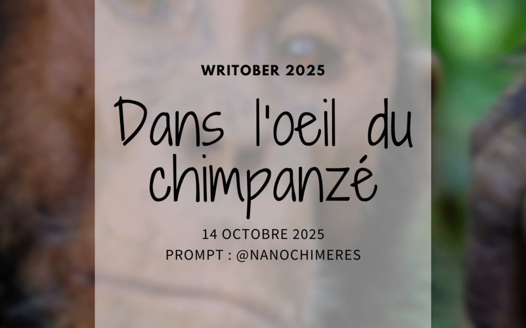 Writober 2025 – Dans l’œil du chimpanzé
